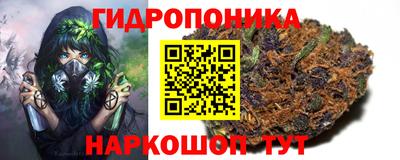прущие крисы Коммунар
